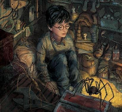 harry-potter-1-illustrated-edition_2