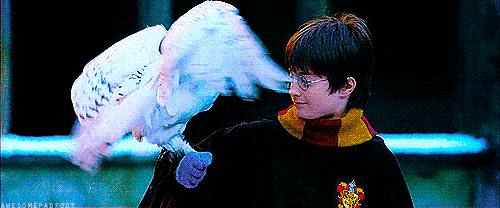 แฮร์รี่ พอตเตอร์
