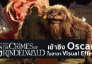 “สัตว์มหัศจรรย์: อาชญากรรมของกรินเดลวัลด์” เข้าชิงรางวัล 2019 Oscars สาขา VFX !! “สัตว์มหัศจรรย์: อาชญากรรมของกรินเดลวัลด์” เข้าชิงรางวัล 2019 Oscars สาขา VFX !!